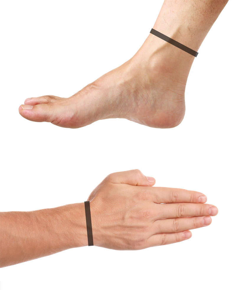 How to measure wrist and ankle for the genetic potential calculator