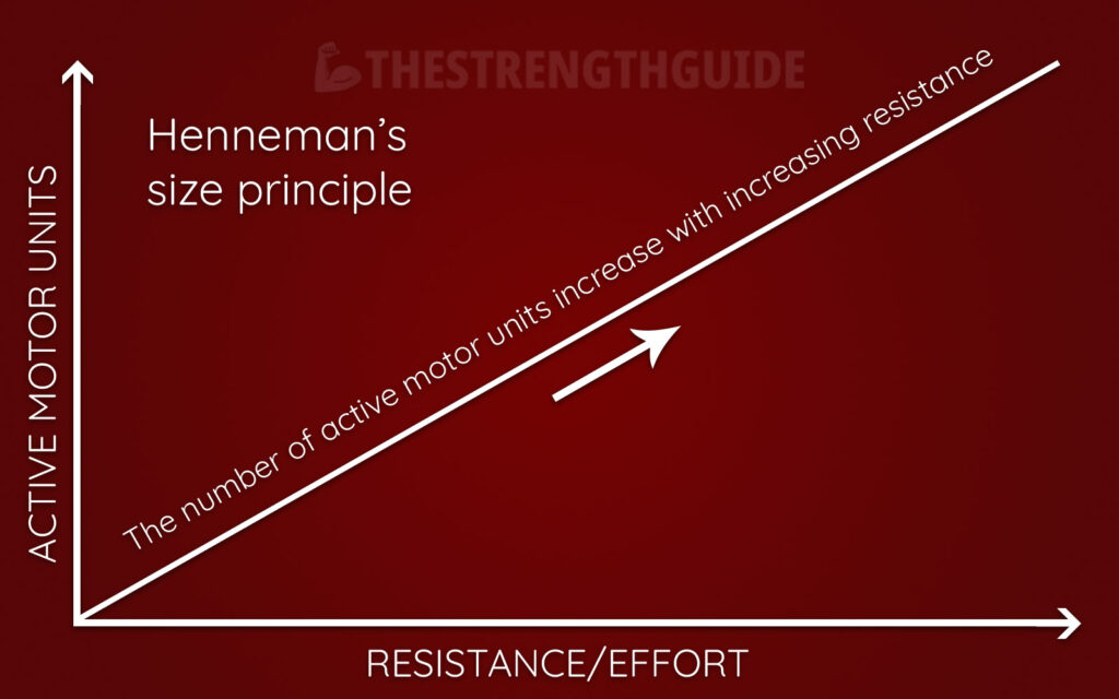 Illustration of Henneman's size principle