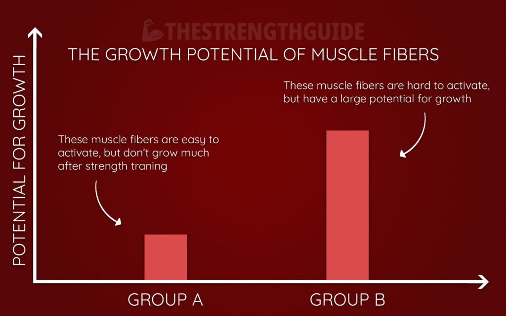 Graph showing the potential of growth for different muscle fibers