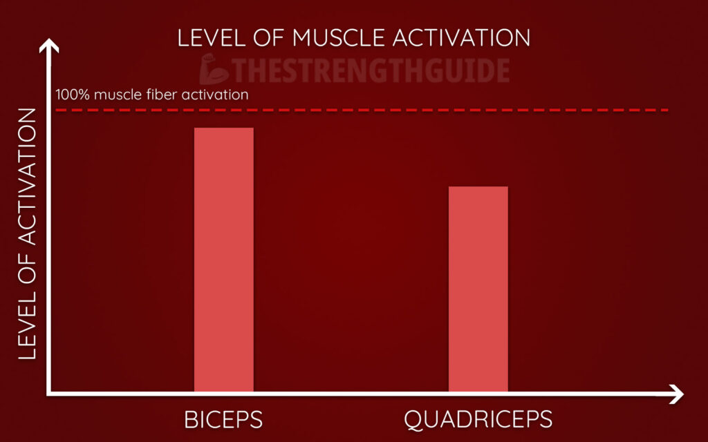 Graph showing how different muscles can reach different levels of voluntary activation