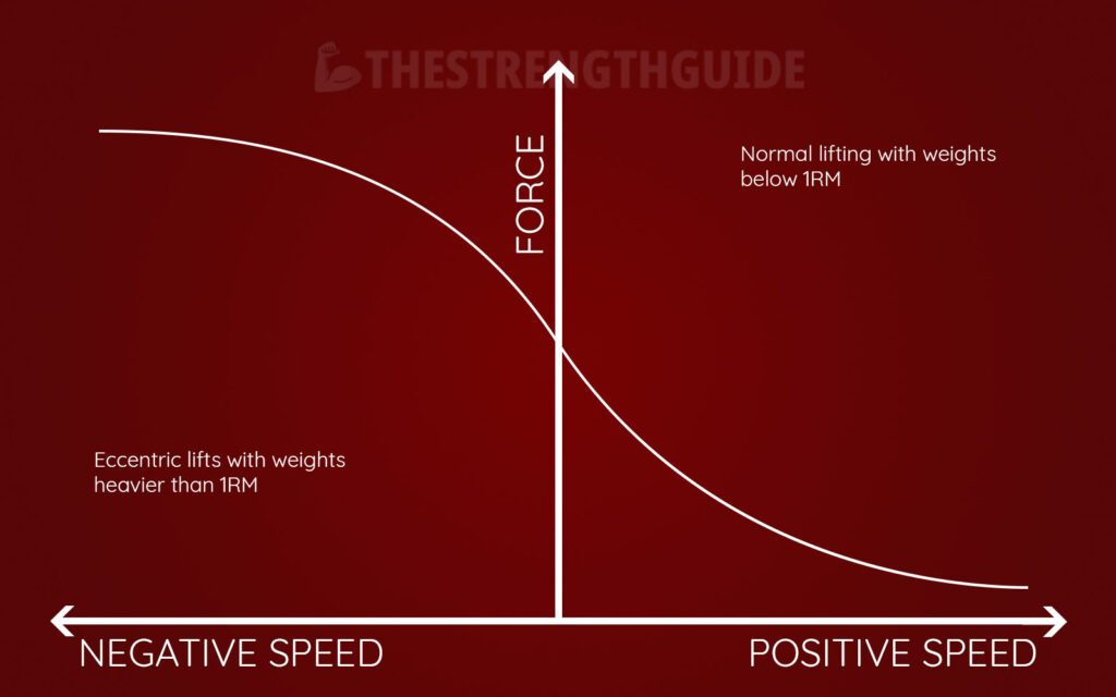 Illustration of the force-velocity relationship